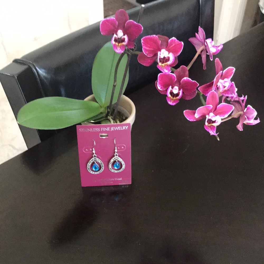 NWT Stainless Steel Dangling Earrings - Turquoise - Picture 3 of 5
